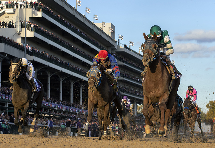 Accelerate wins the Breeders Cup Classic
