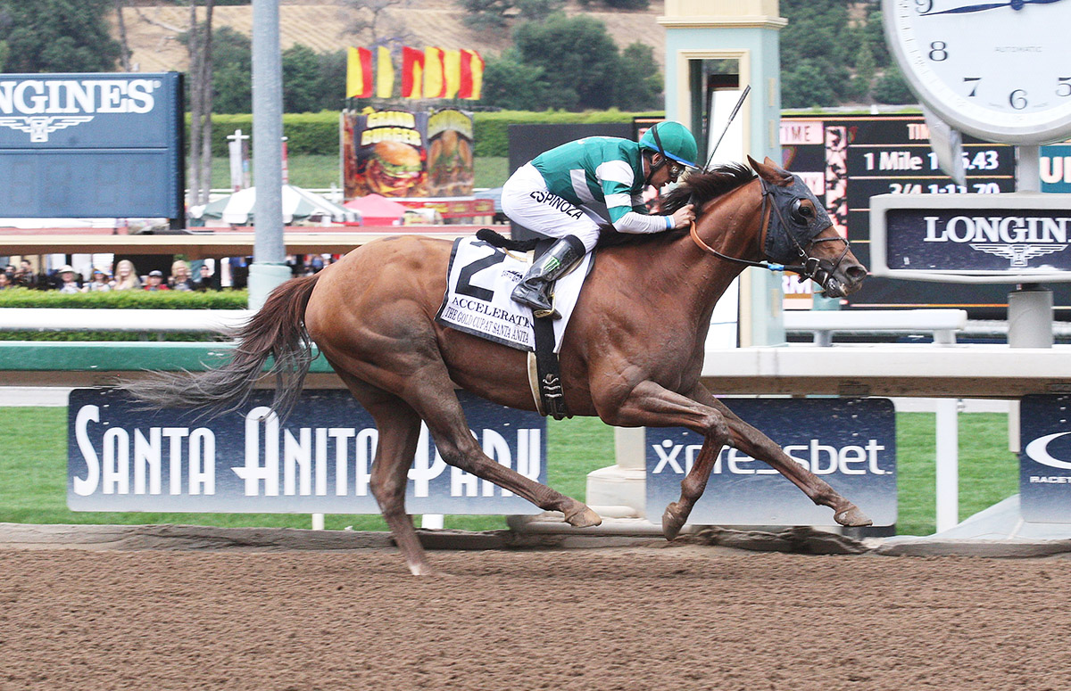 Accelerate wins the 2018 Gold Cup