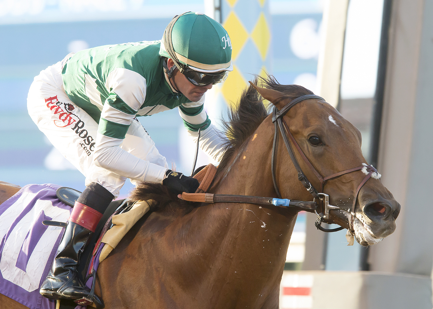 Accelerate wins the Shared Belief Stakes