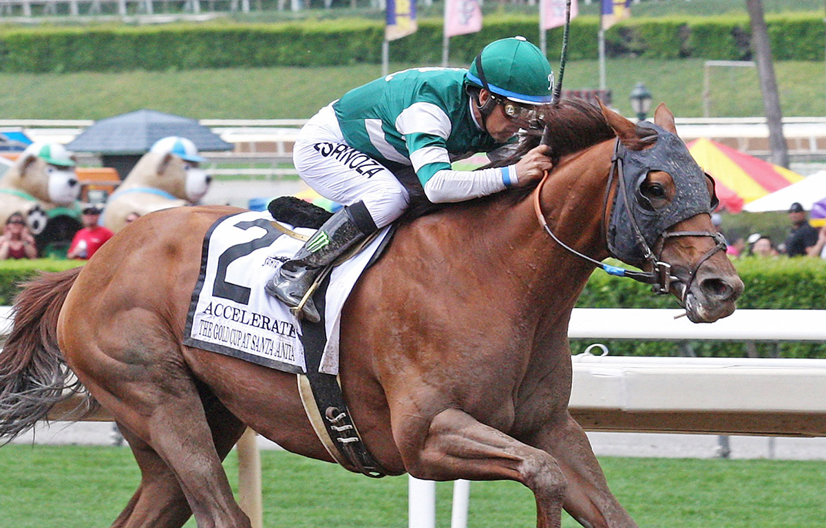 Accelerate wins the 2018 Gold Cup