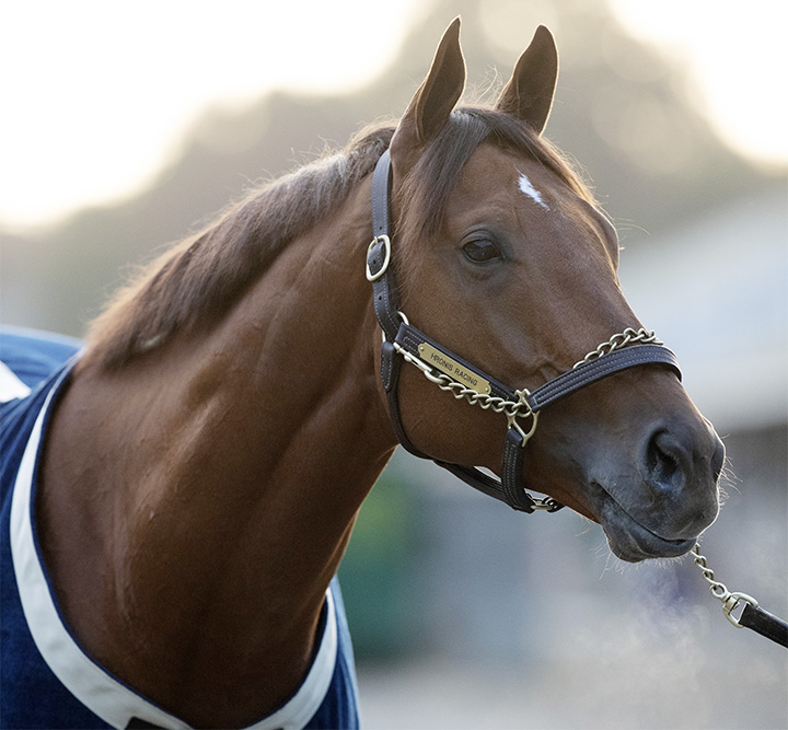Accelerate in October 2018