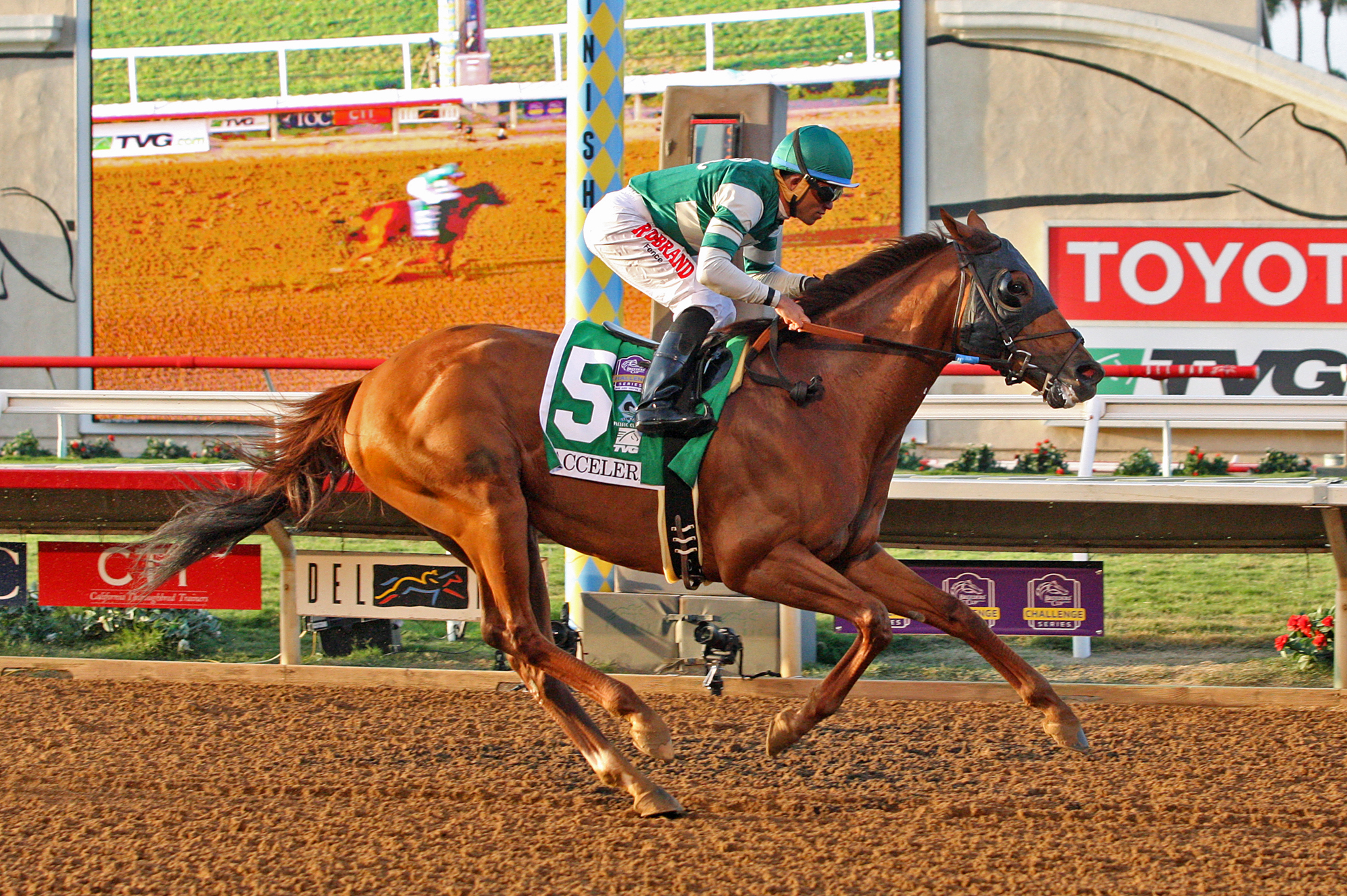 Accelerate wins the 2018 Pacific Classic