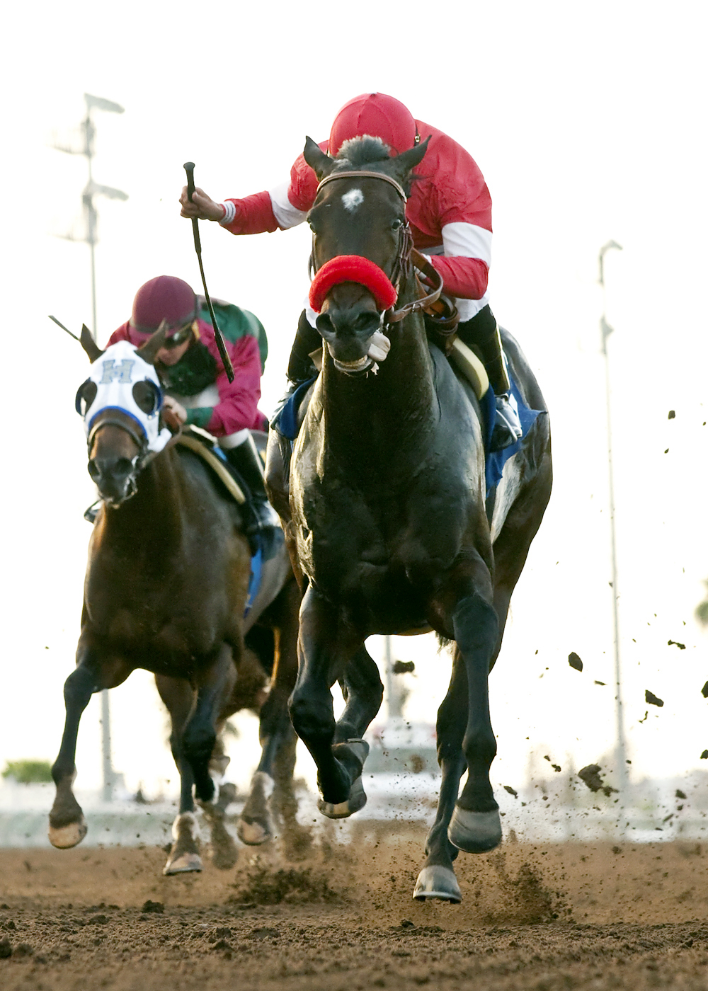 Acceptance wins the King Glorious