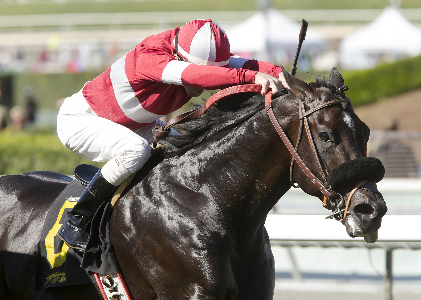 Acceptance wins the California Flag Handicap