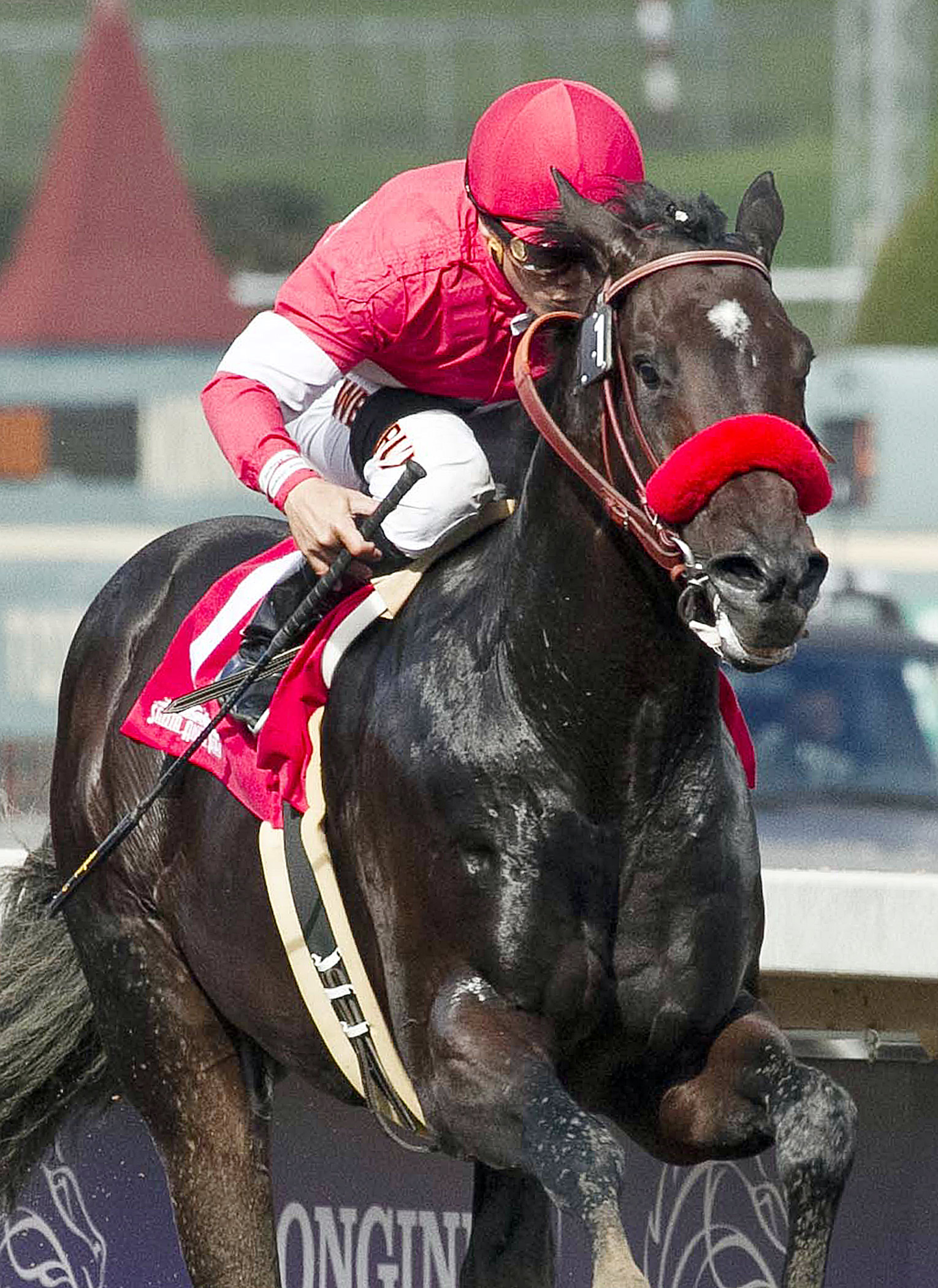 Acceptance wins the Golden State Juvenile Stakes