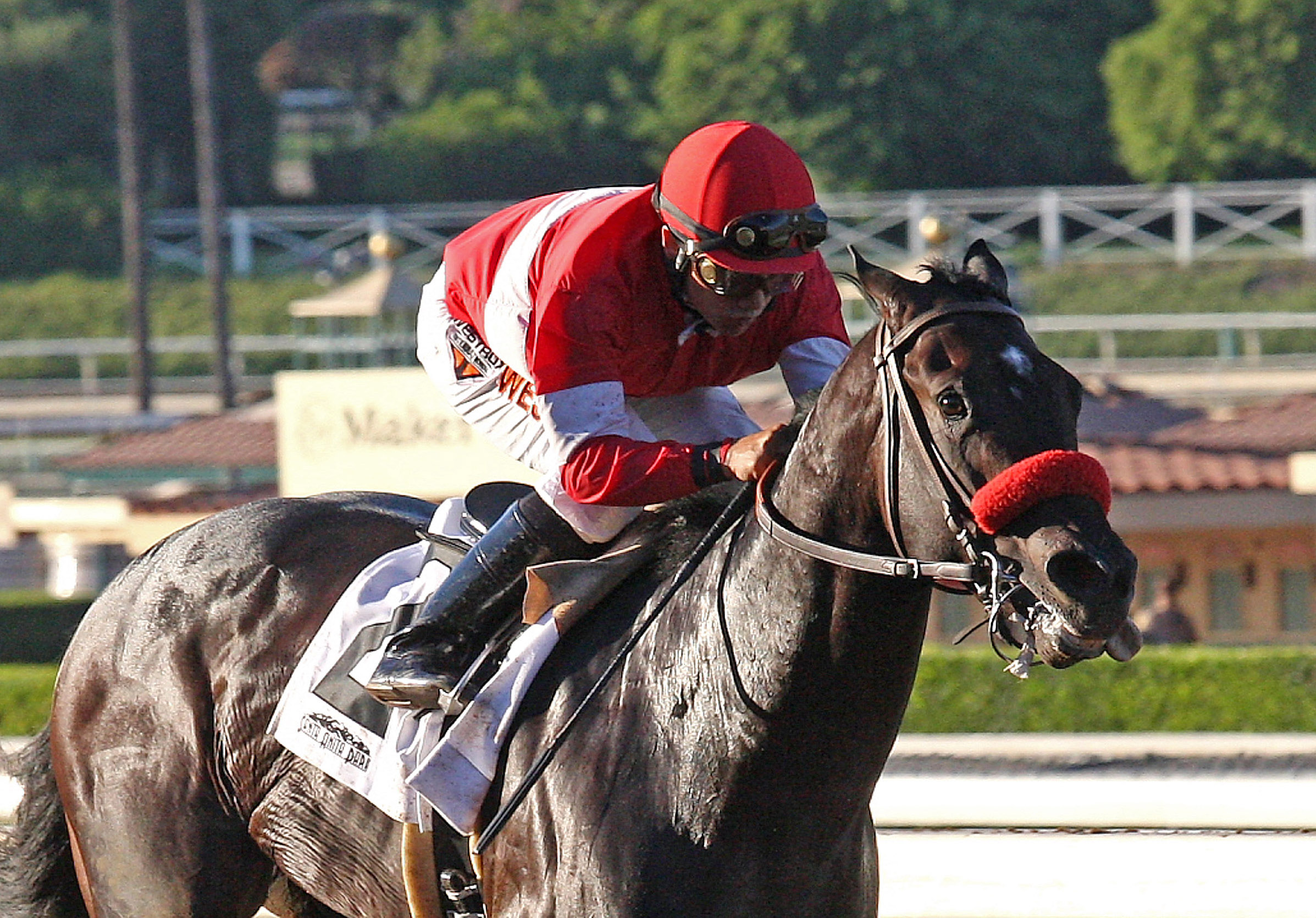 Acceptance wins a maiden