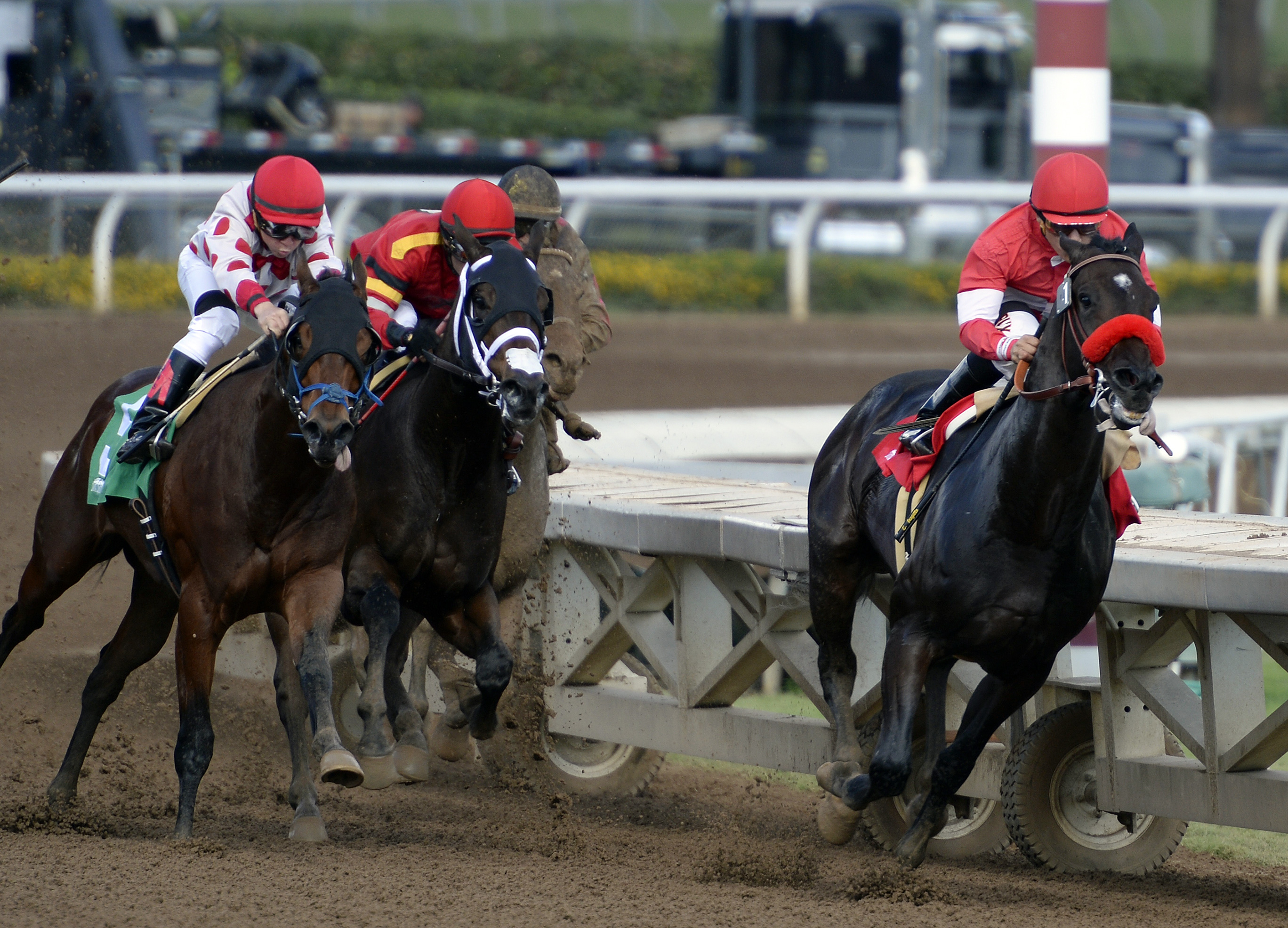 Acceptance wins the Golden State Juvenile Stakes