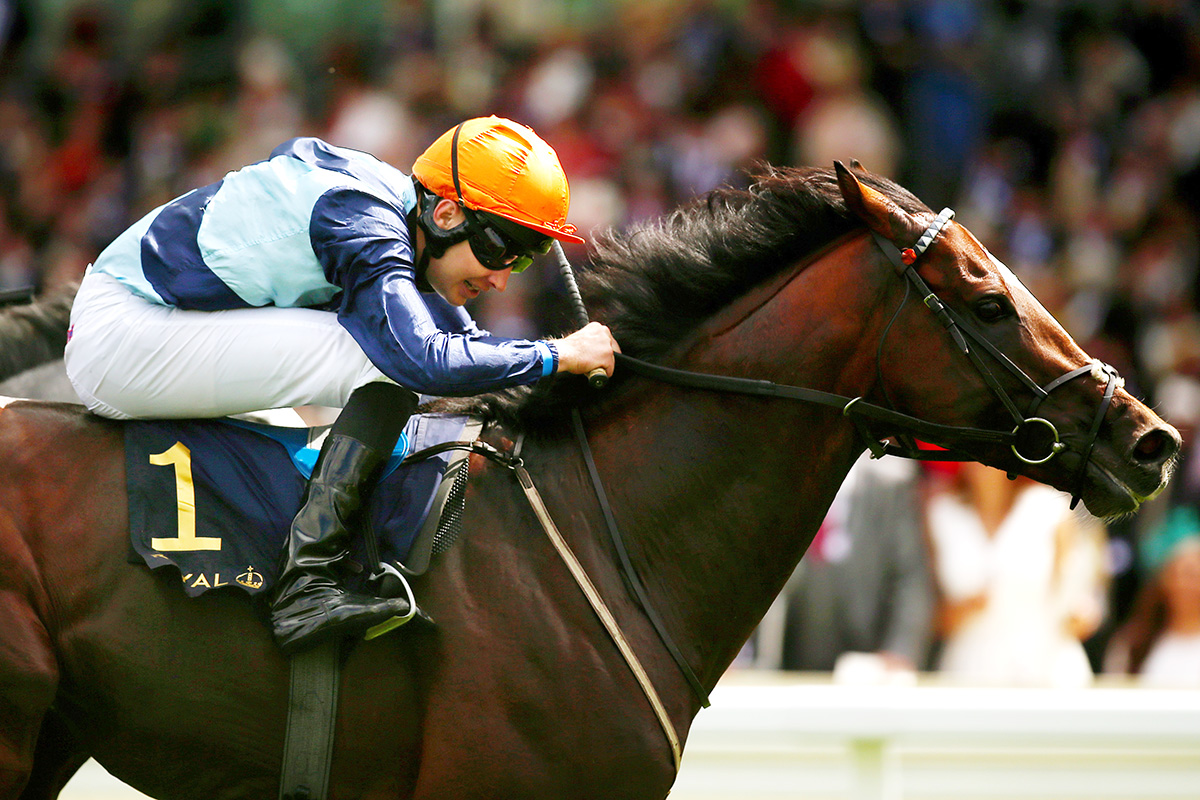 Accidental Agent wins the 2018 Queen Anne Stakes