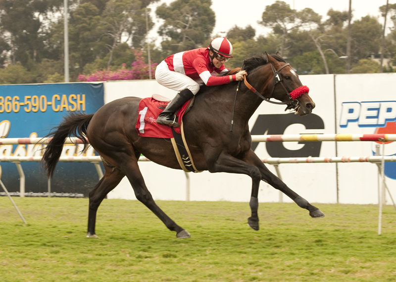 Acclamation 6-11-2011