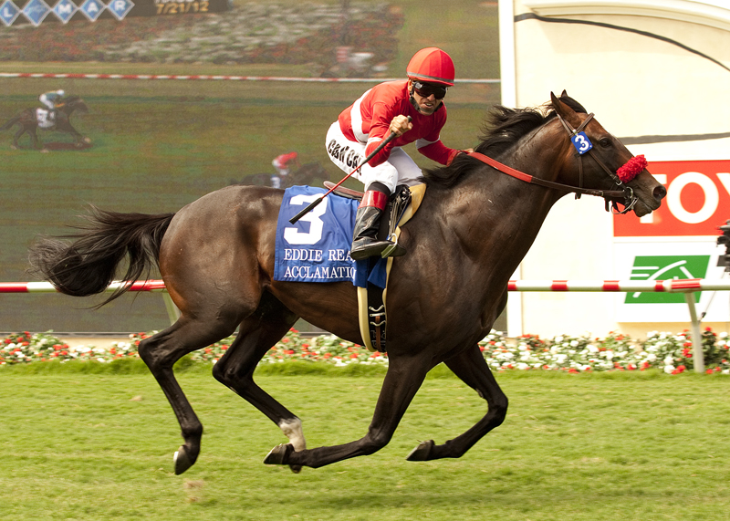 Acclamation, Eddie Read 2012