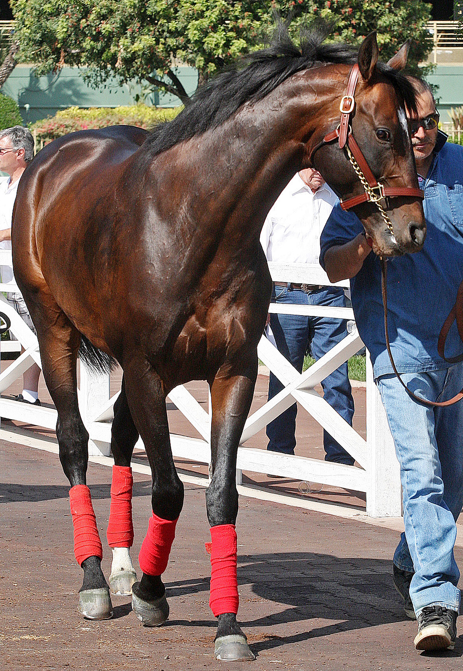 Acclamation 4-21-2012