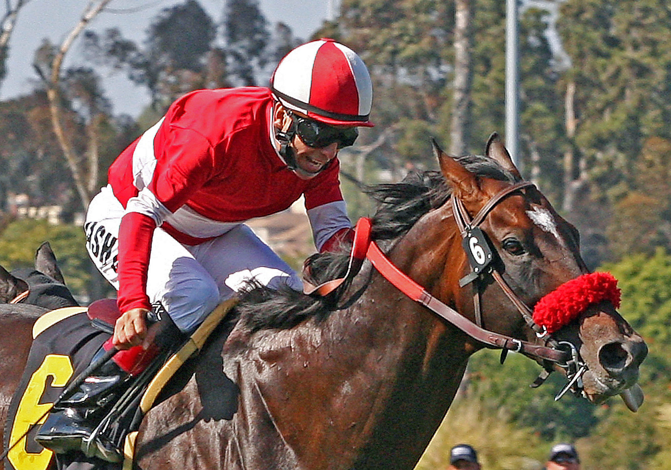 Acclamation/Whittingham