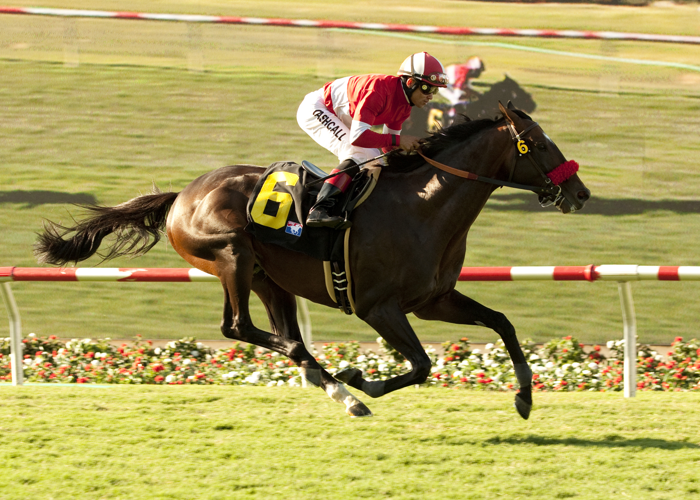 Acclamation/Eddie Read