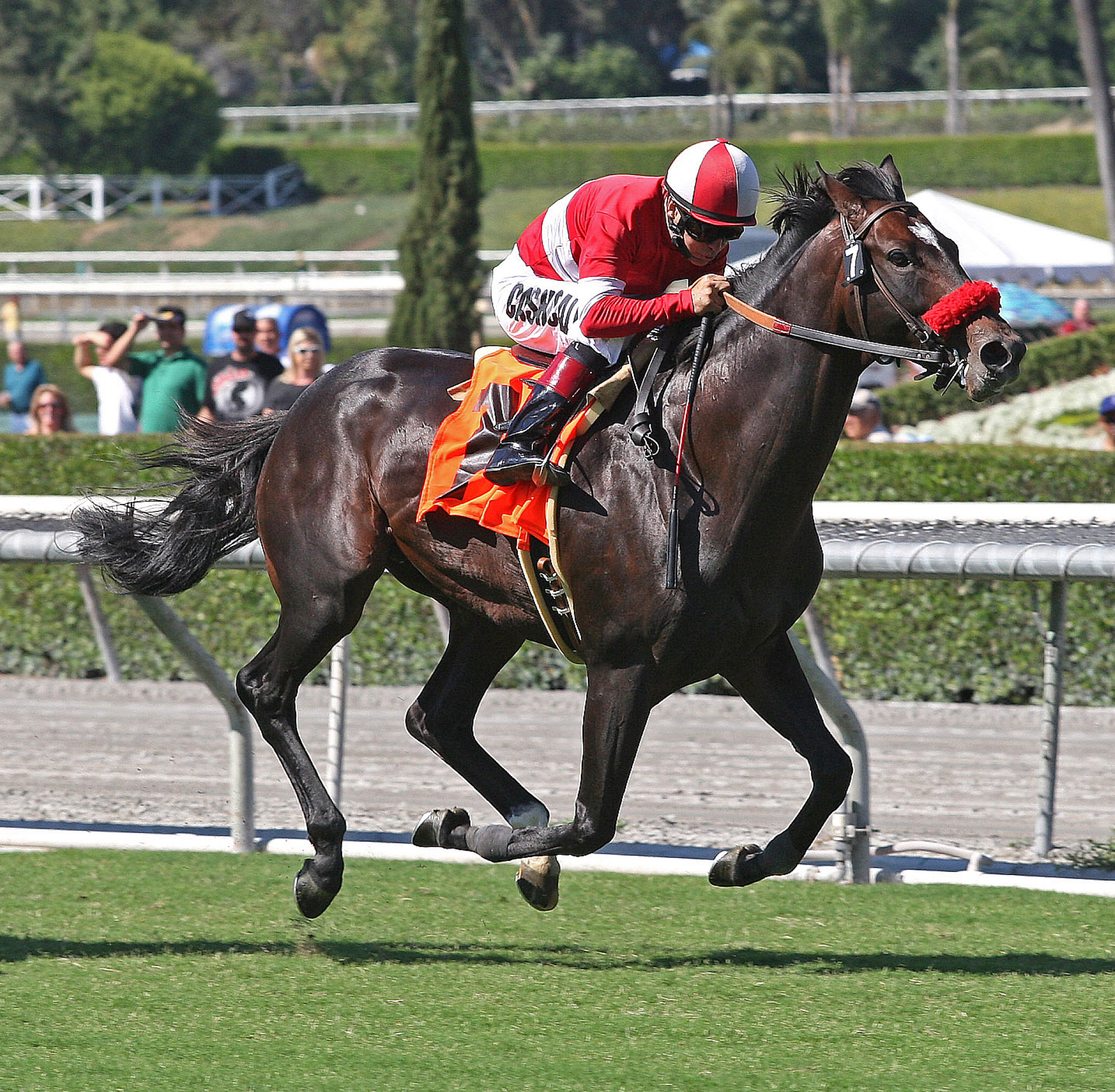 Acclamation