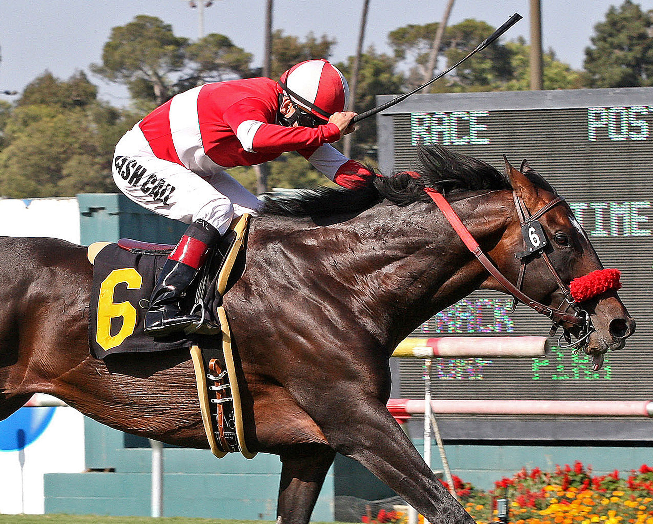 Acclamation