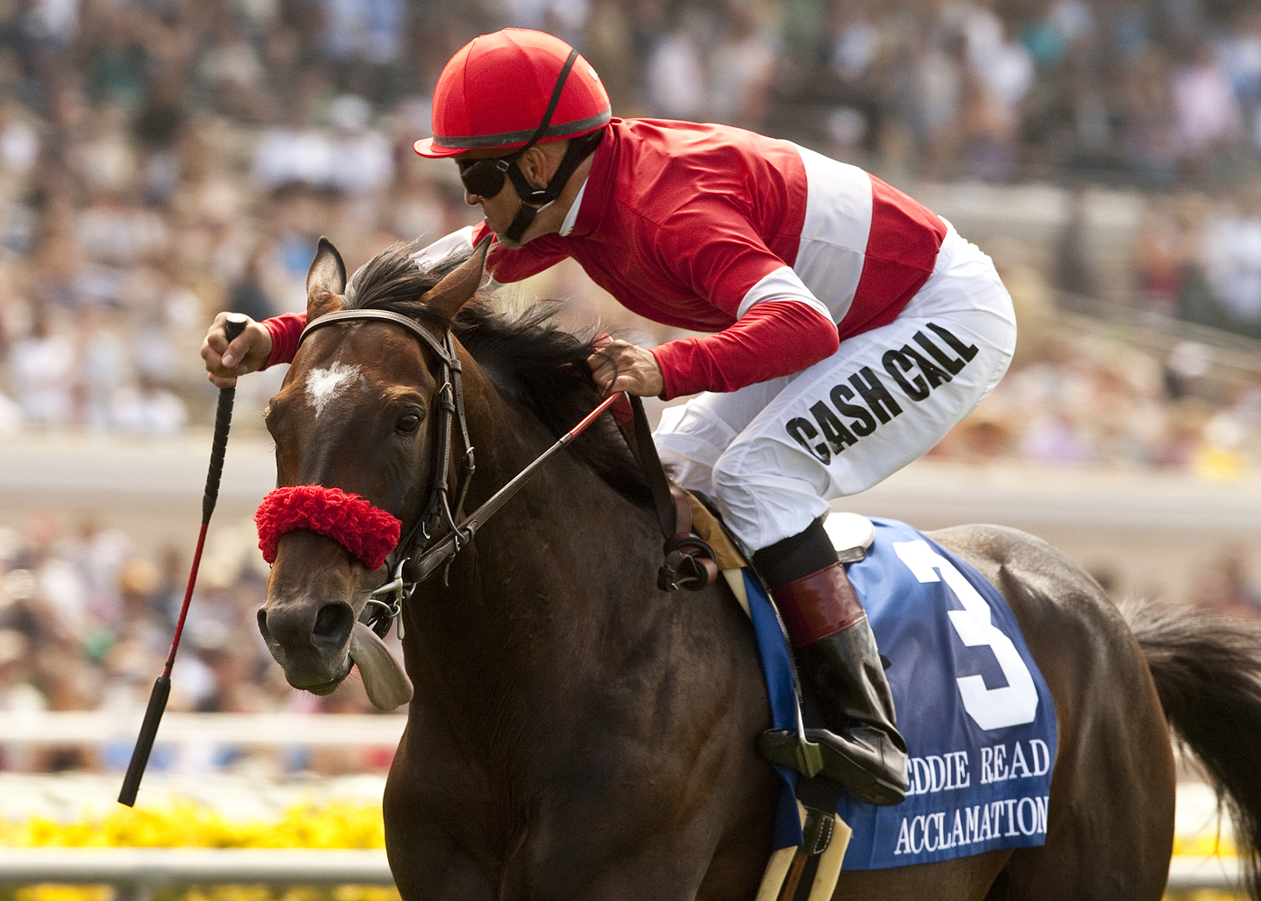 Acclamation, Eddie Read Stakes