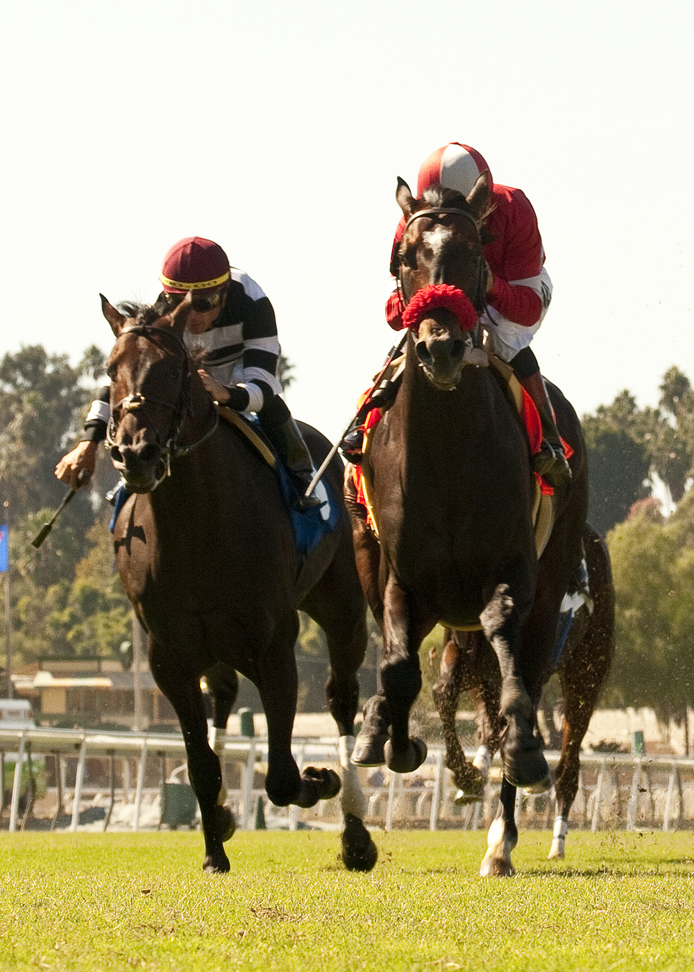 Acclamation/Clement Hirsch