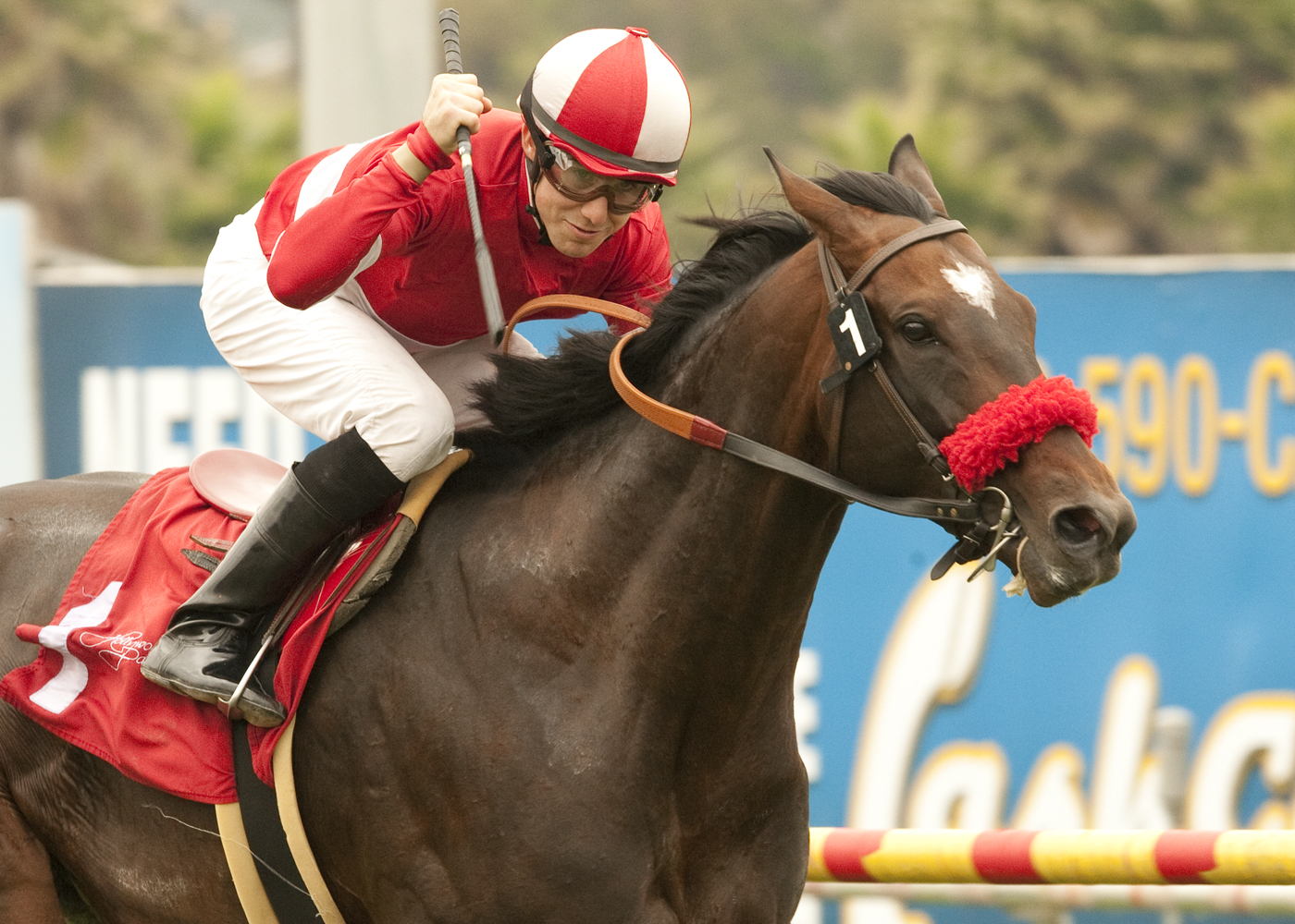 Acclamation
