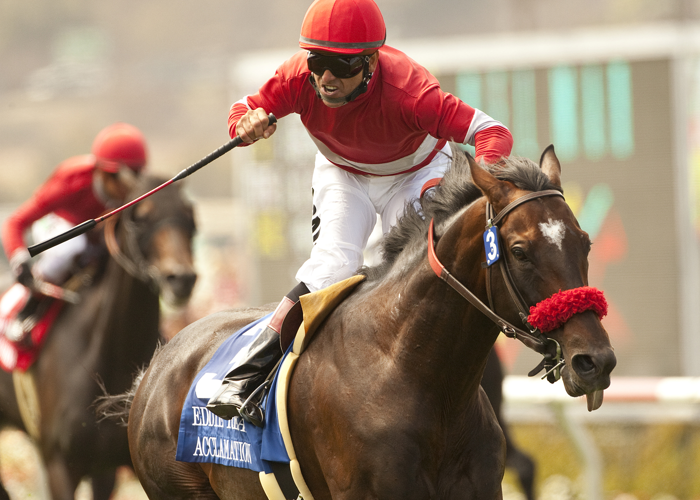 Unusual Heat maintains stranglehold on California sire lists in 2012