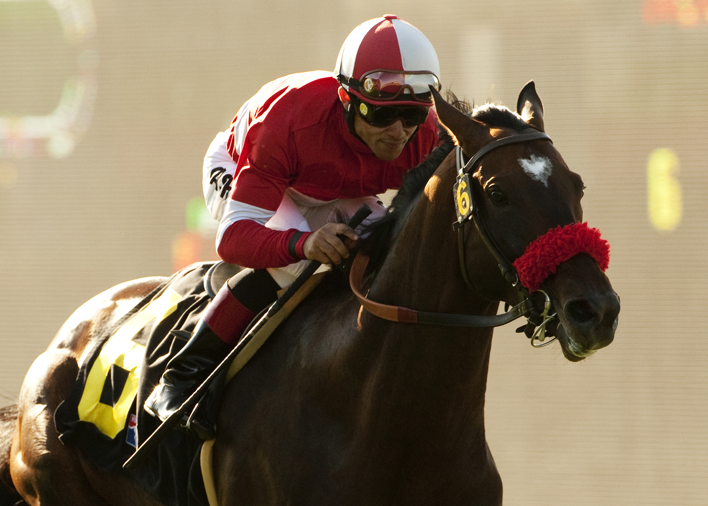 Acclamation wins Eddie Read