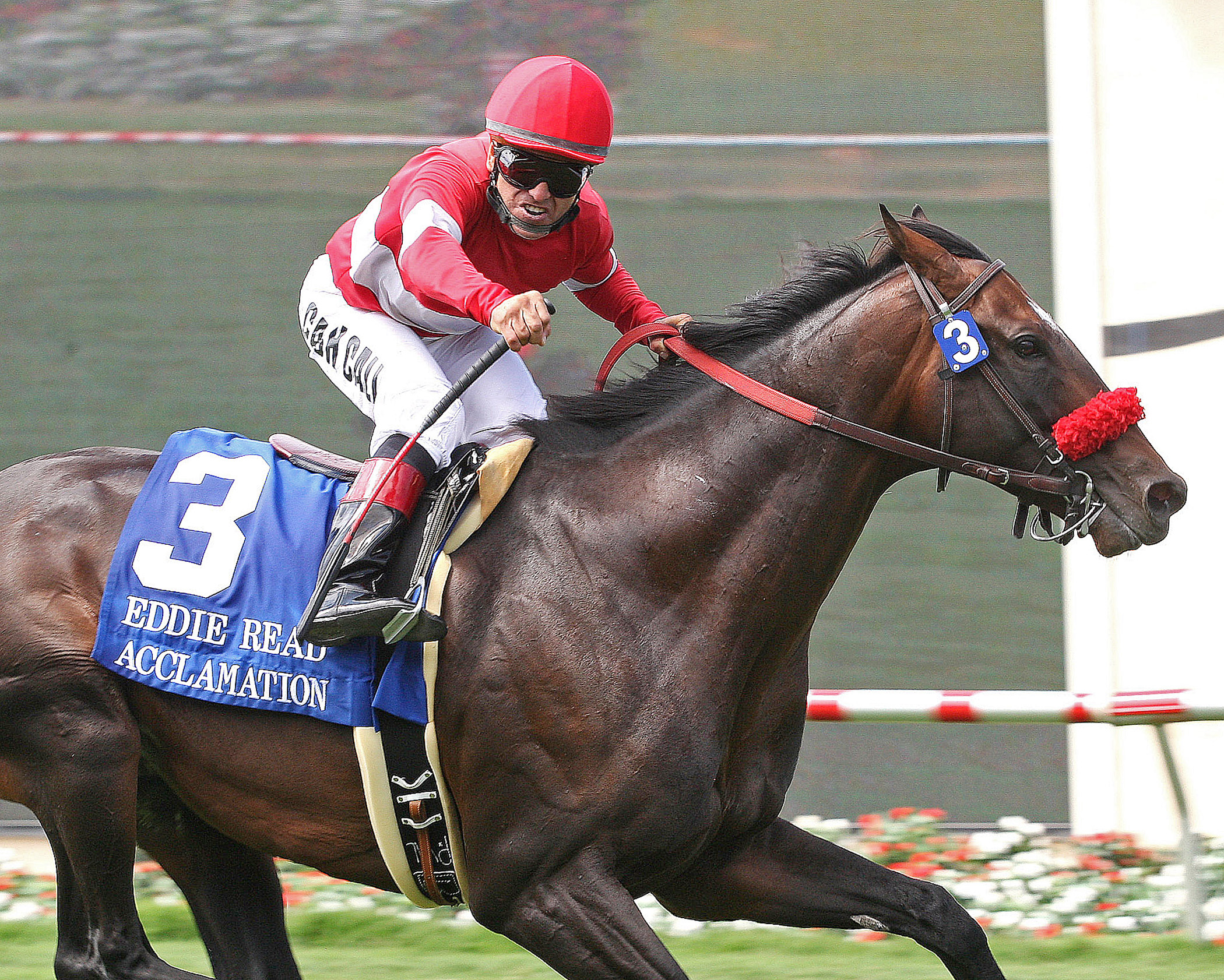 Acclamation, July 21, 2012