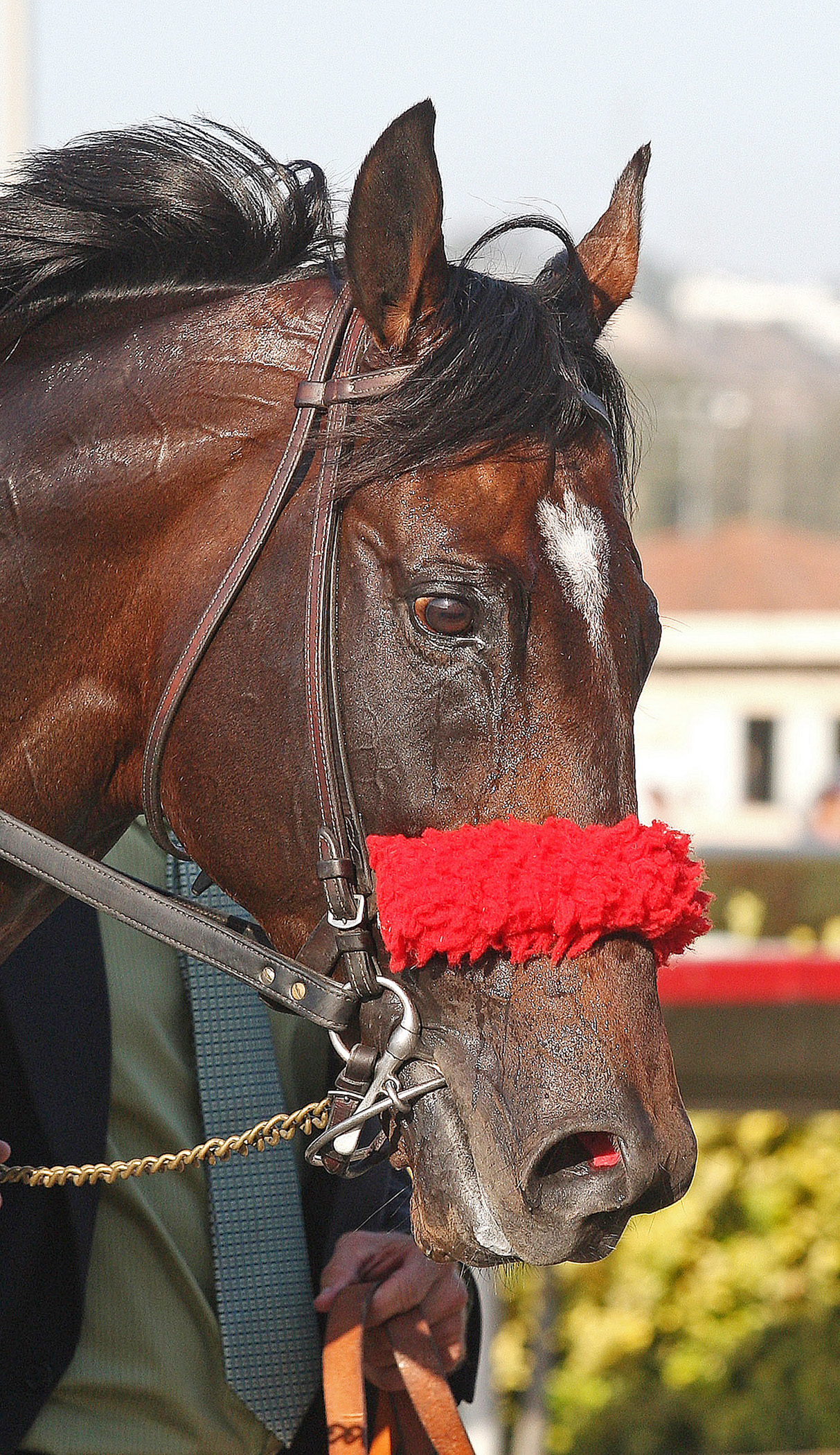 Acclamation