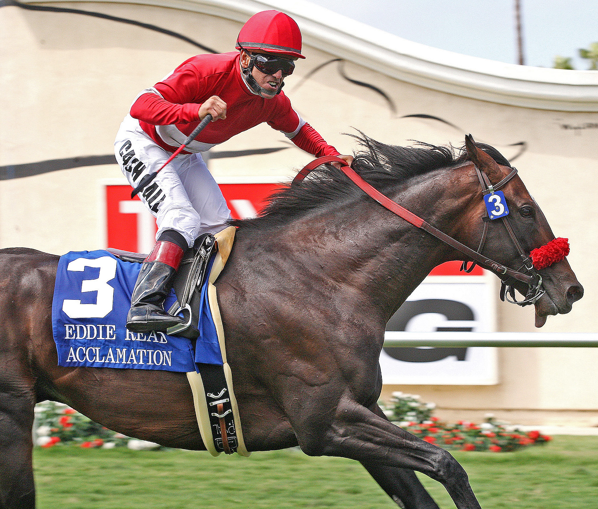 Acclamation, Eddie Read Stakes