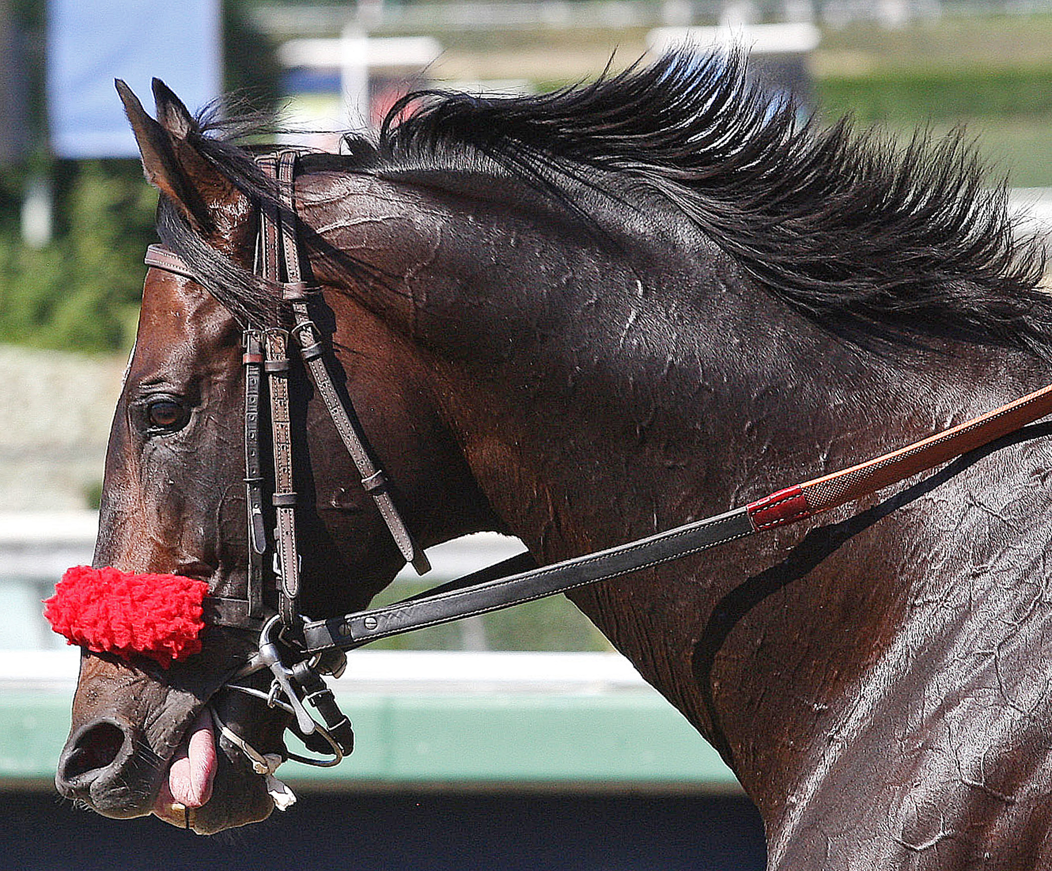 Acclamation