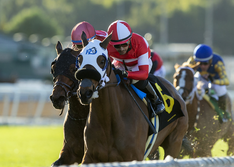 Acclimate wins San Luis Rey Stakes 3-12-2022