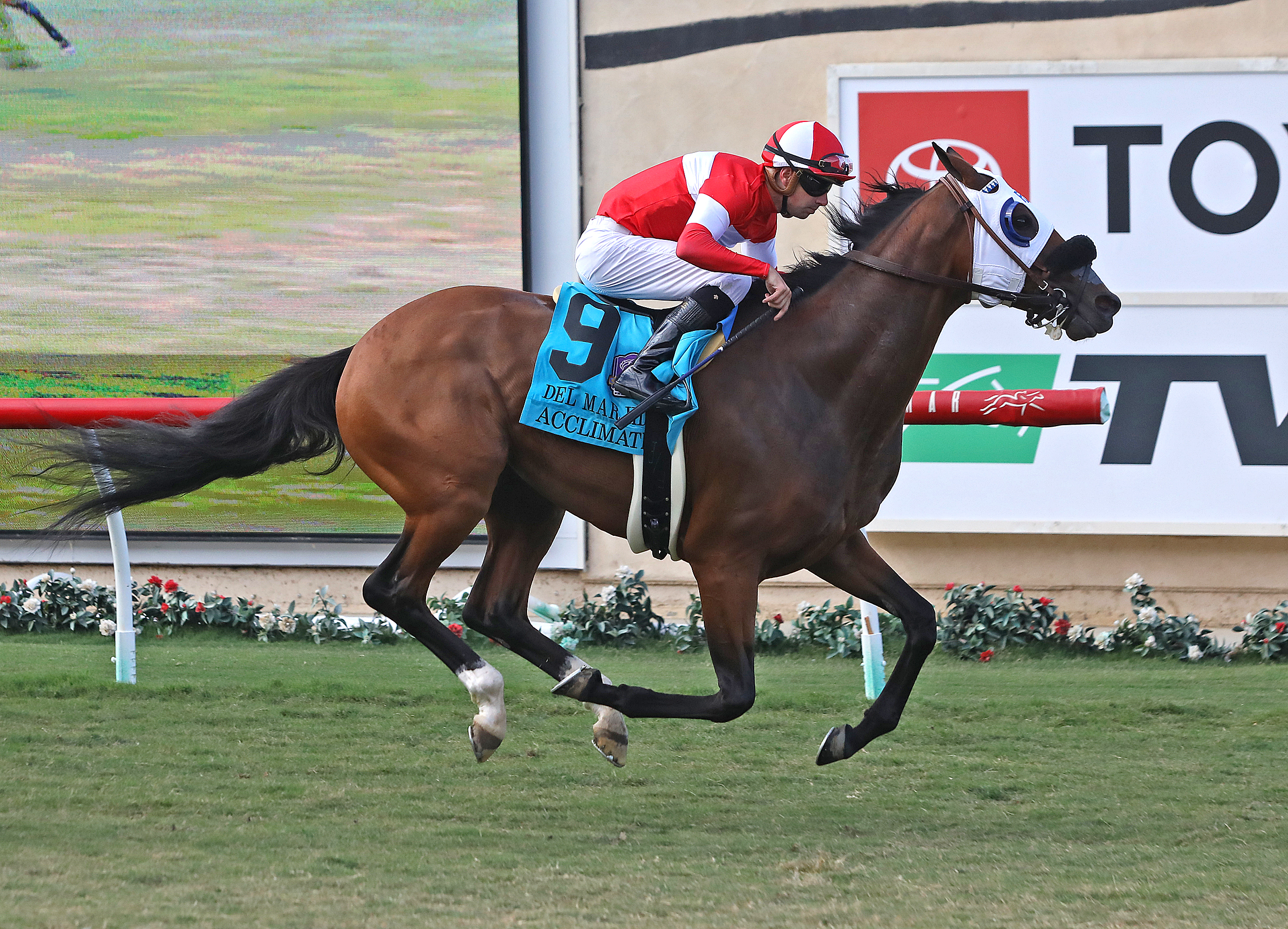 Acclimate wins the 2019 Del Mar Handicap