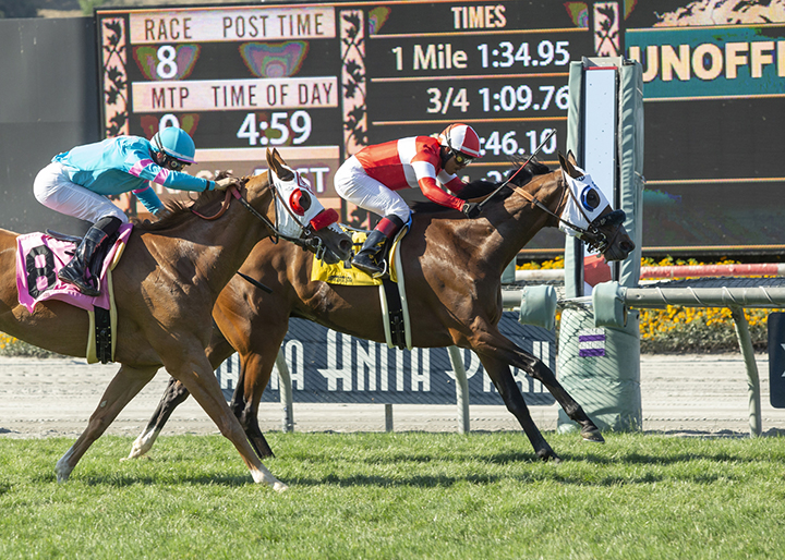 Acclimate wins the 2019 San Juan Capistrano at Santa Anita Park
