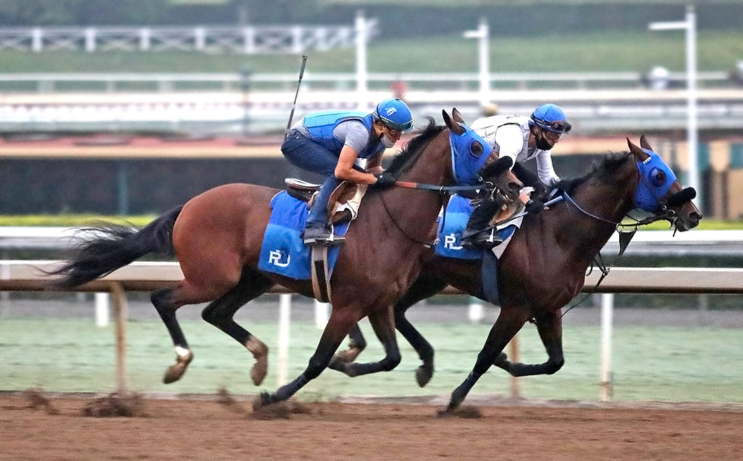 Acclimate (outside) trains at Santa Anita Park in September 2020