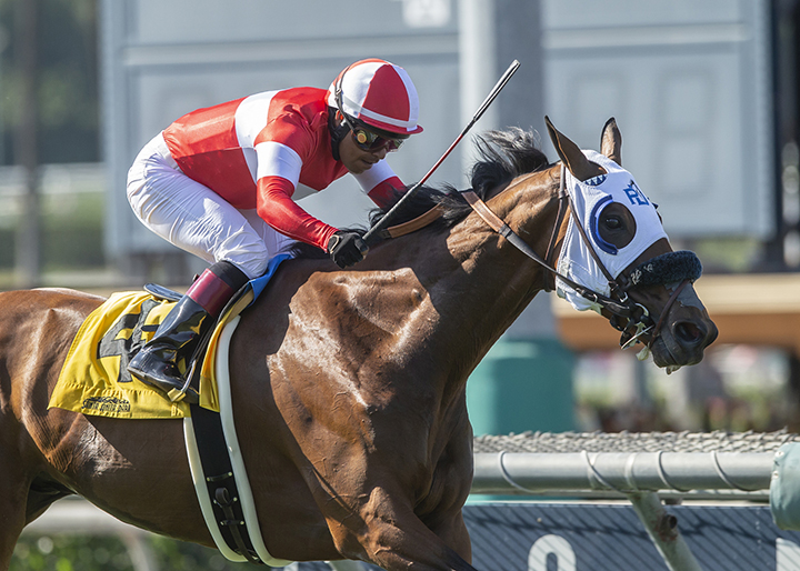 Acclimate wins the 2019 San Juan Capistrano at Santa Anita Park