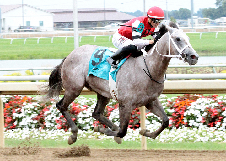 Ace of Aces wins the 2018 Hillsdale Stakes