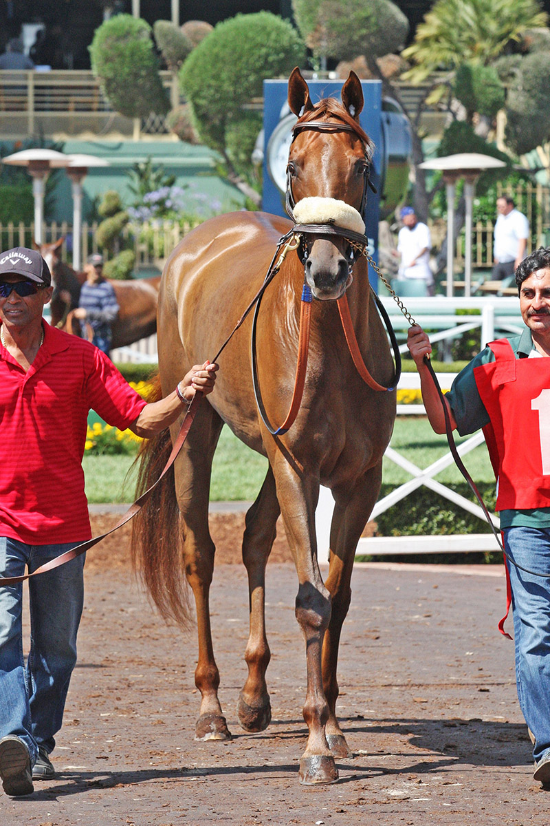 Achira at Santa Anita on June 21
