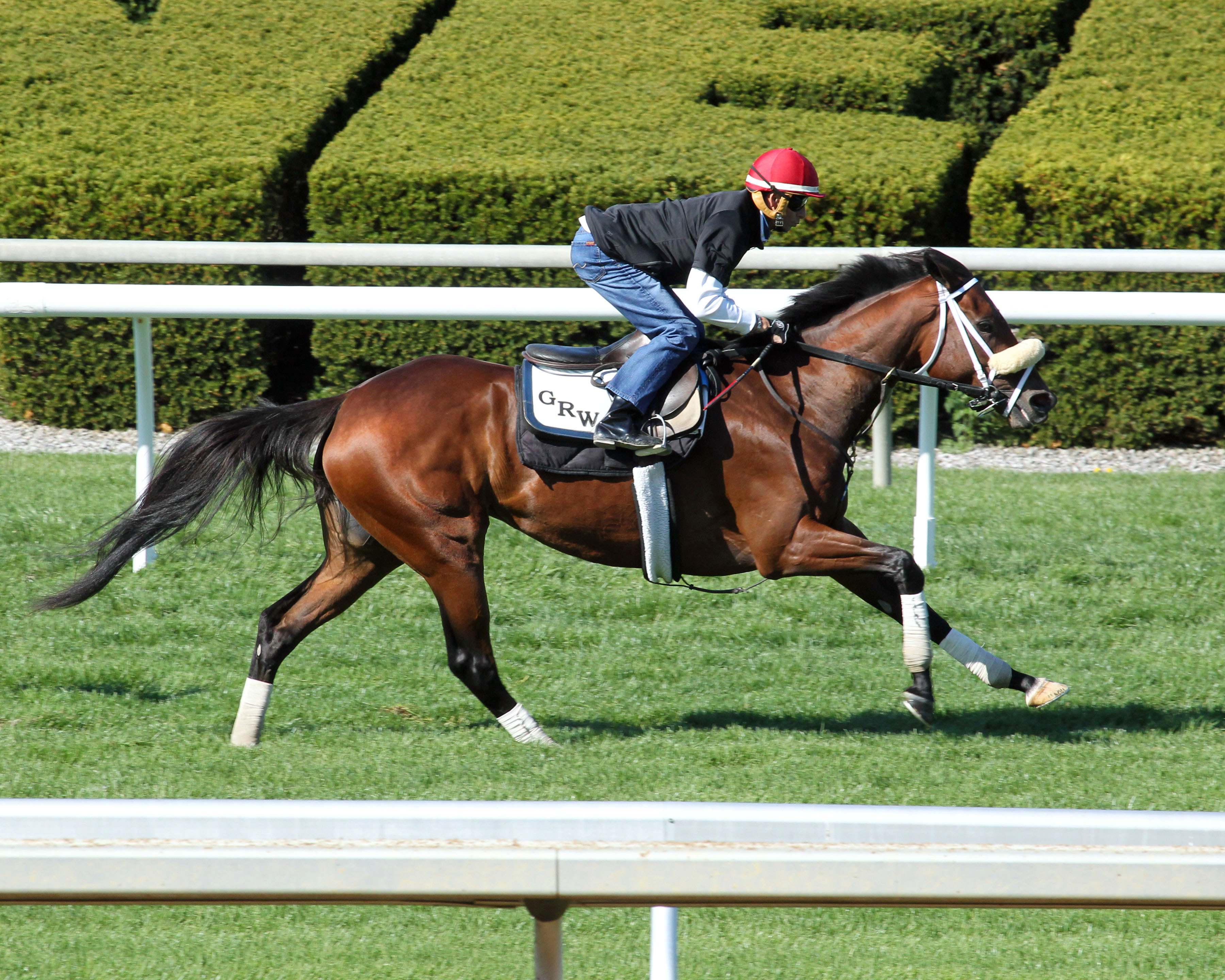 Achnaha trains at Keeneland on April 24