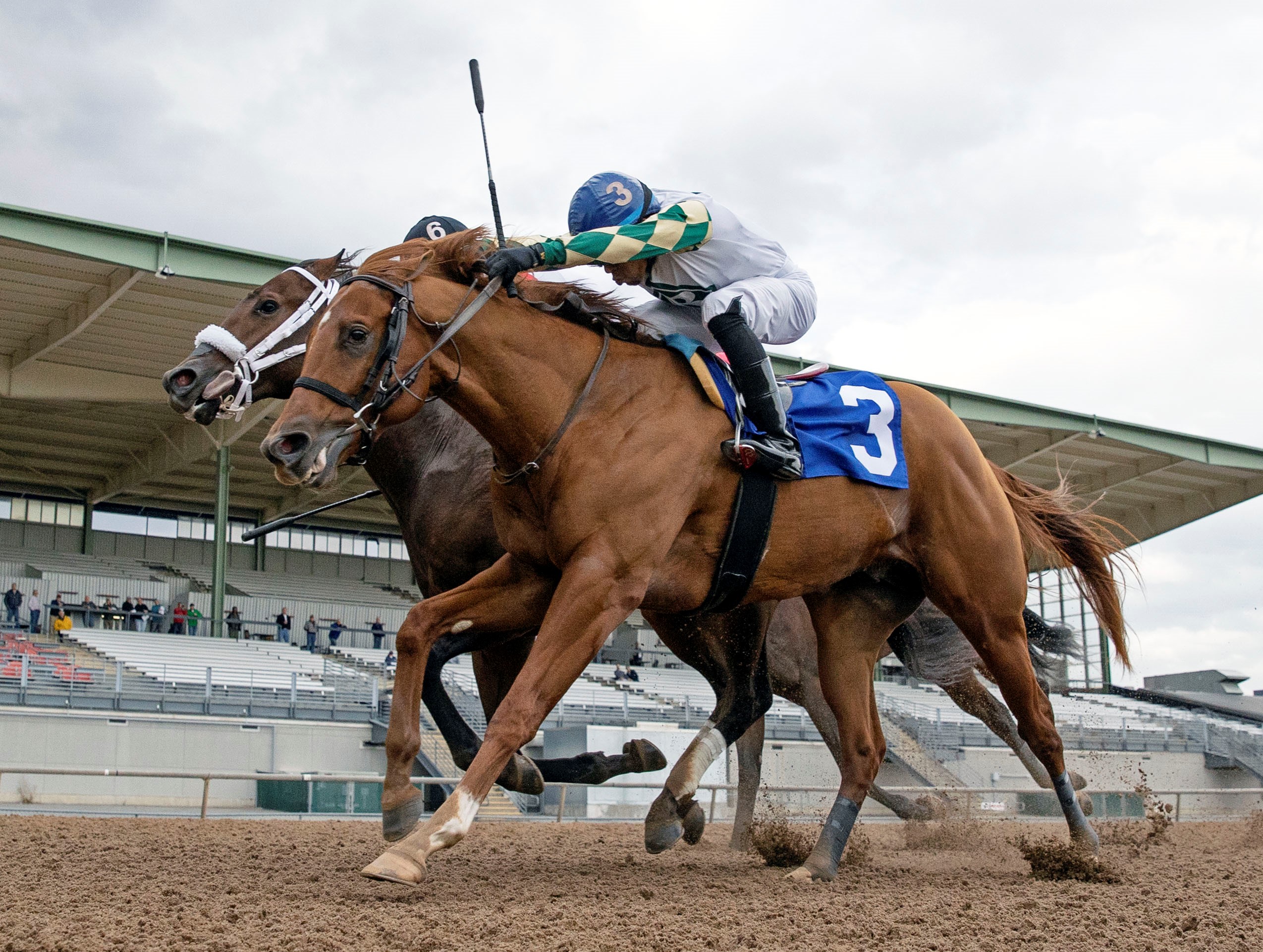 Acoustic Ave (foreground) beats Andiamo a Firenze in N.Y. Breeders' Futurity at Finger Lakes Oct 17 2022