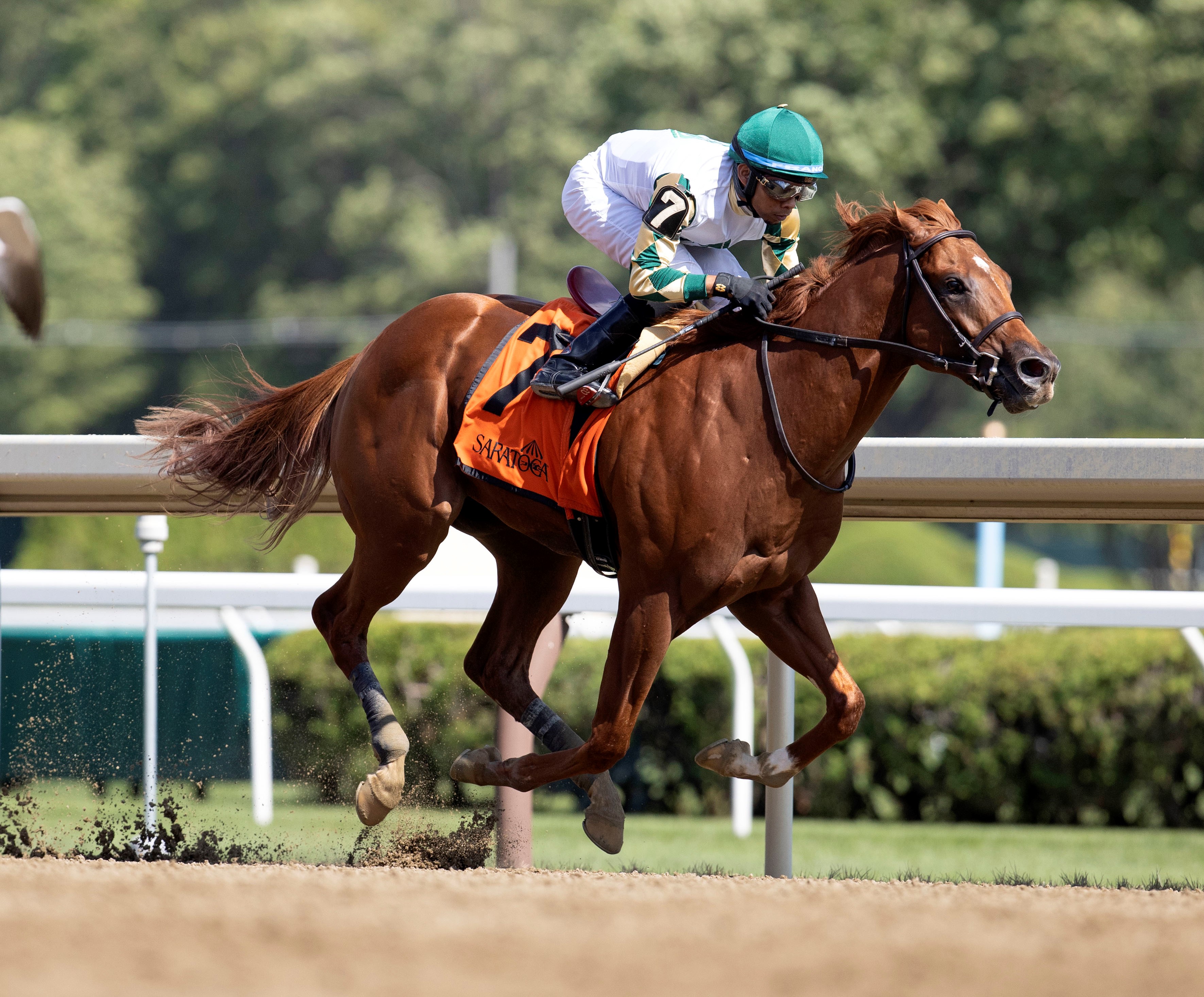 Acoustic Ave wins a Saratoga maiden race July 29 2022