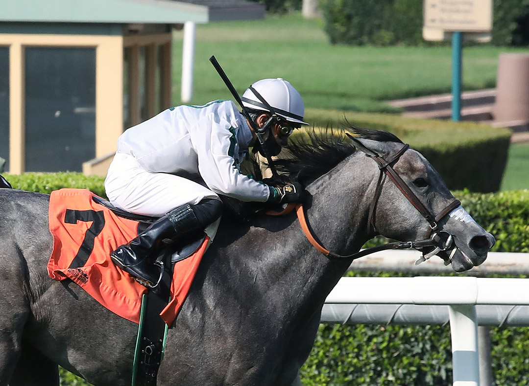 Acting Out wins a September 2020 maiden race at Santa Anita Park