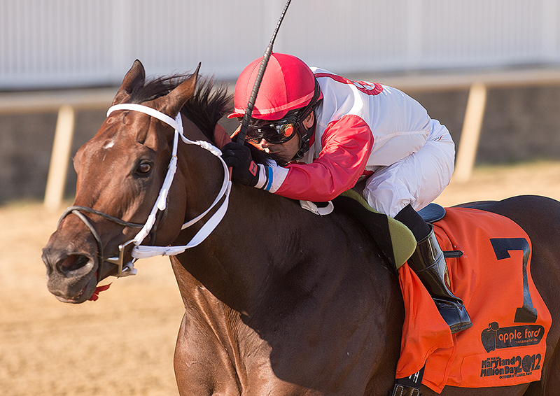 Action Andy, Jim McKay Maryland Million Sprint