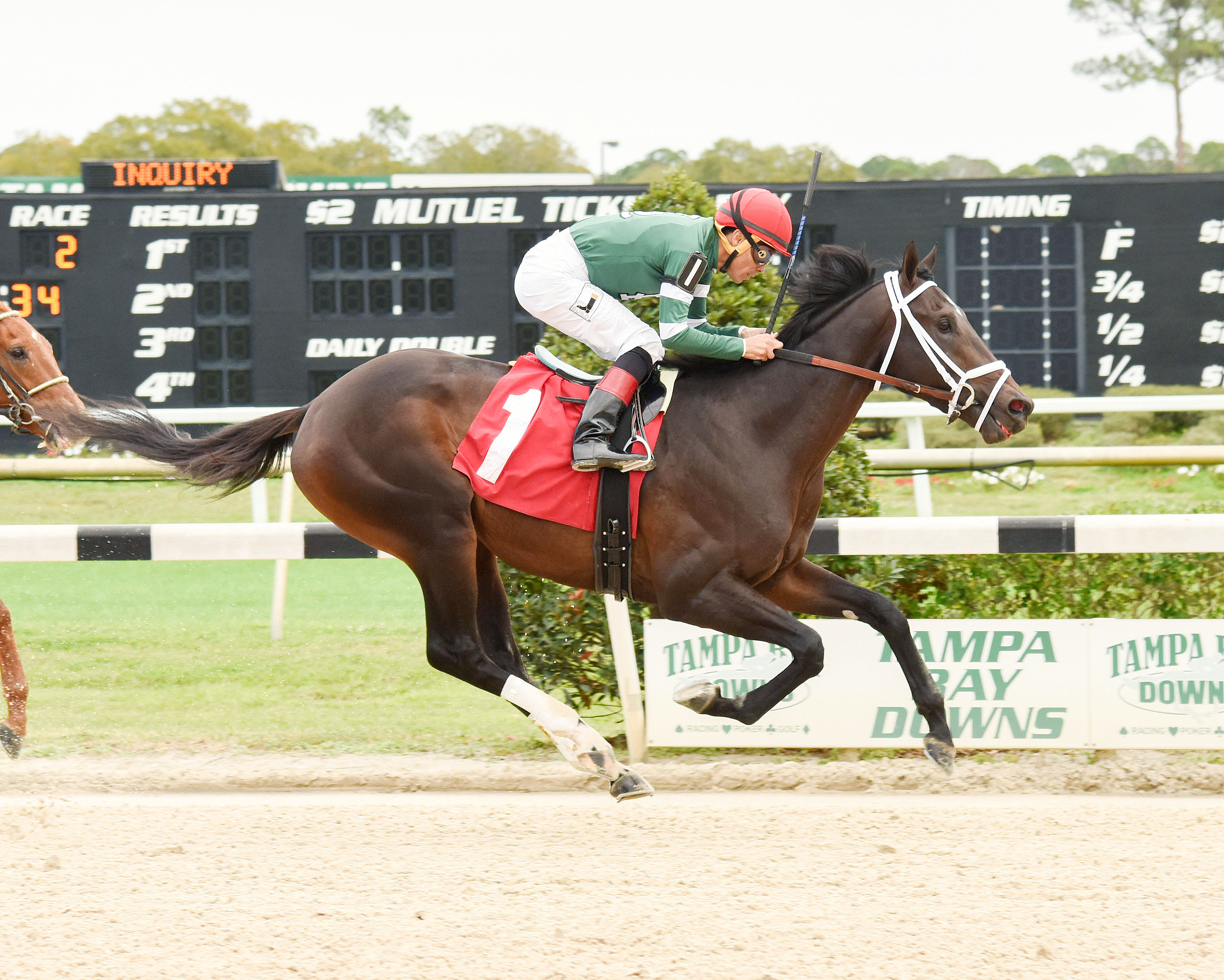 Action Everyday wins an Jan. 27 allowance optional claiming race