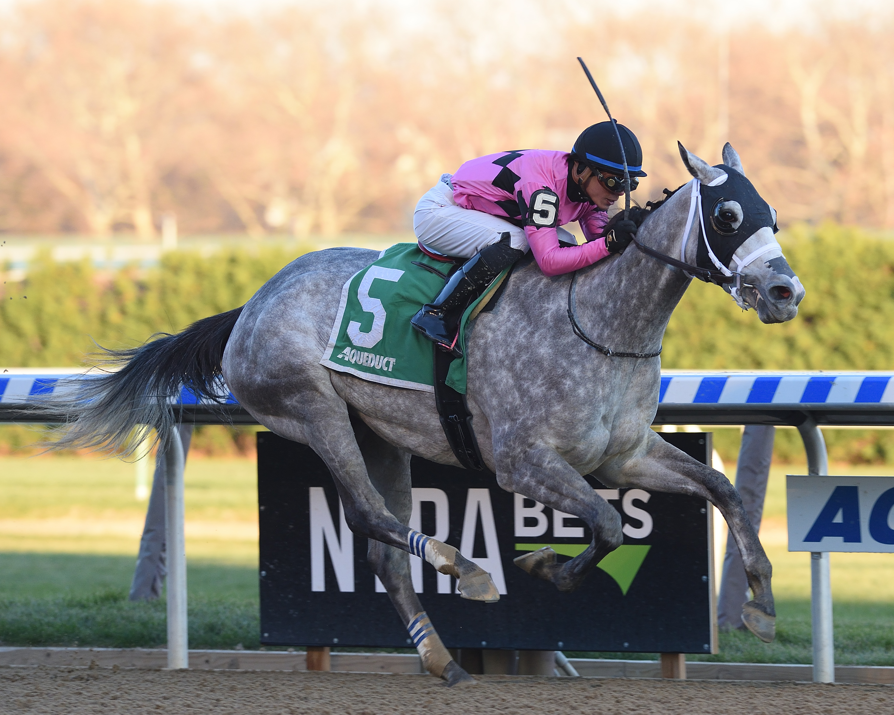 Actress wins the 2017 Comely Stakes