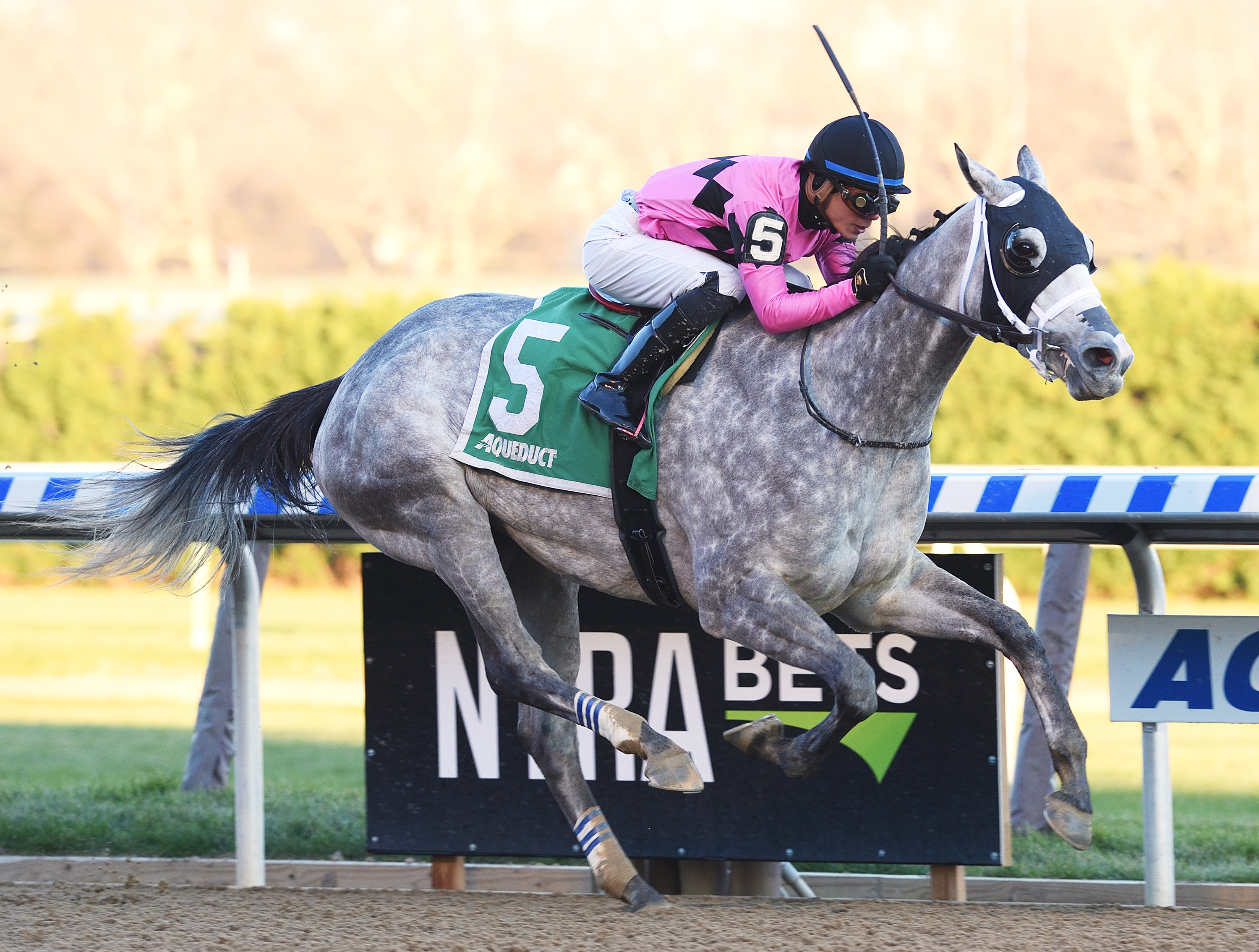 Actress wins the 2017 Comely Stakes