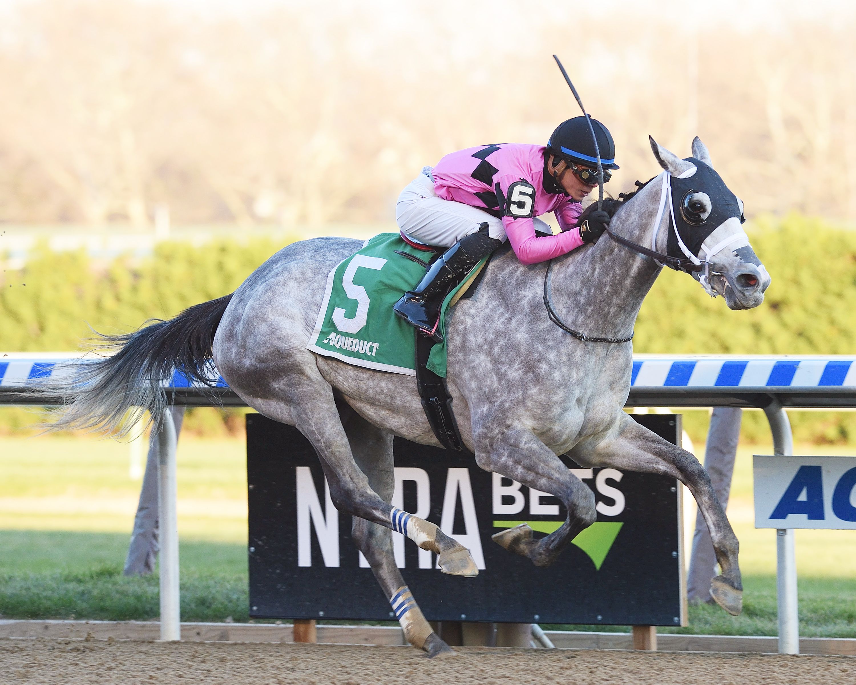 Actress wins the 2017 Comely Stakes
