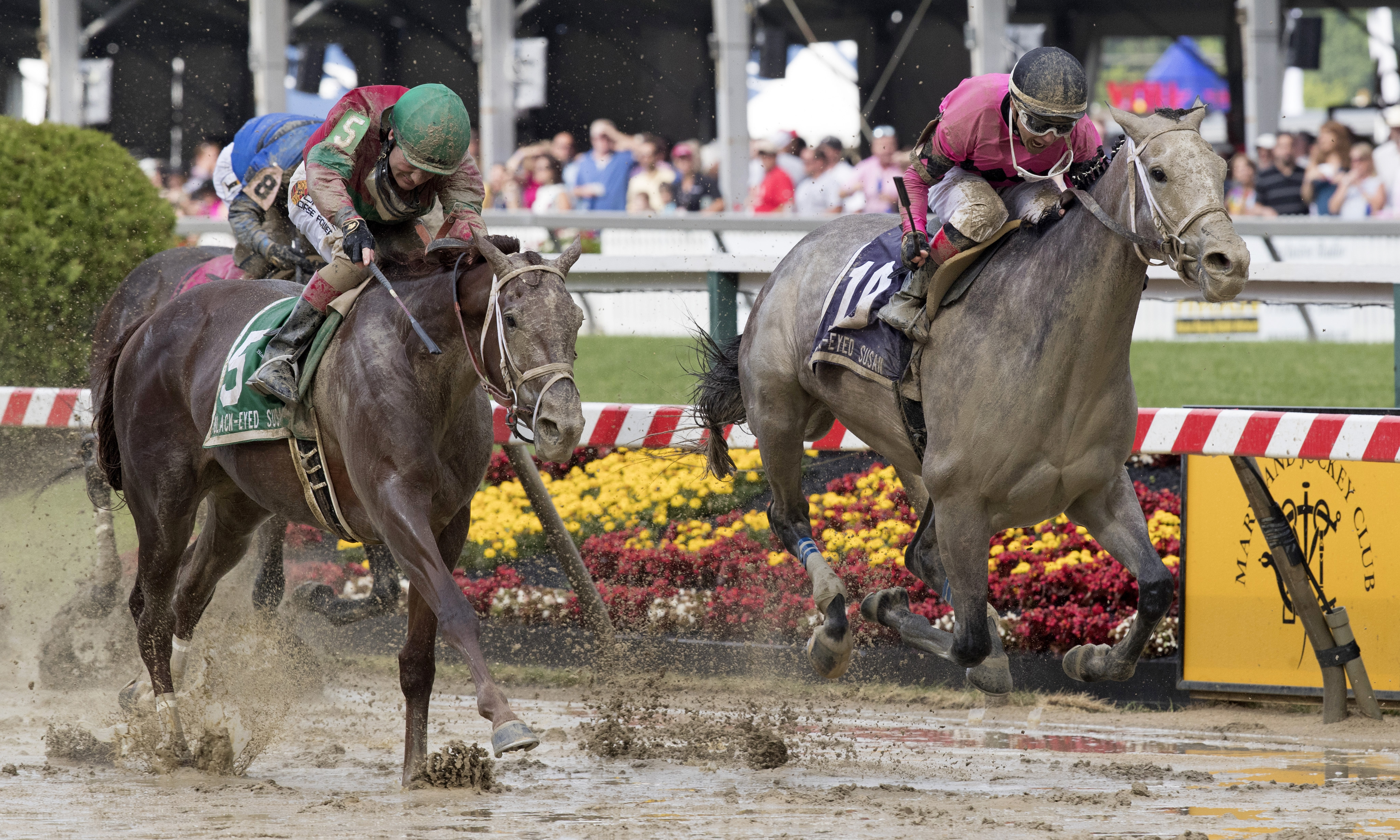 Actress wins the Black-Eyed Susan