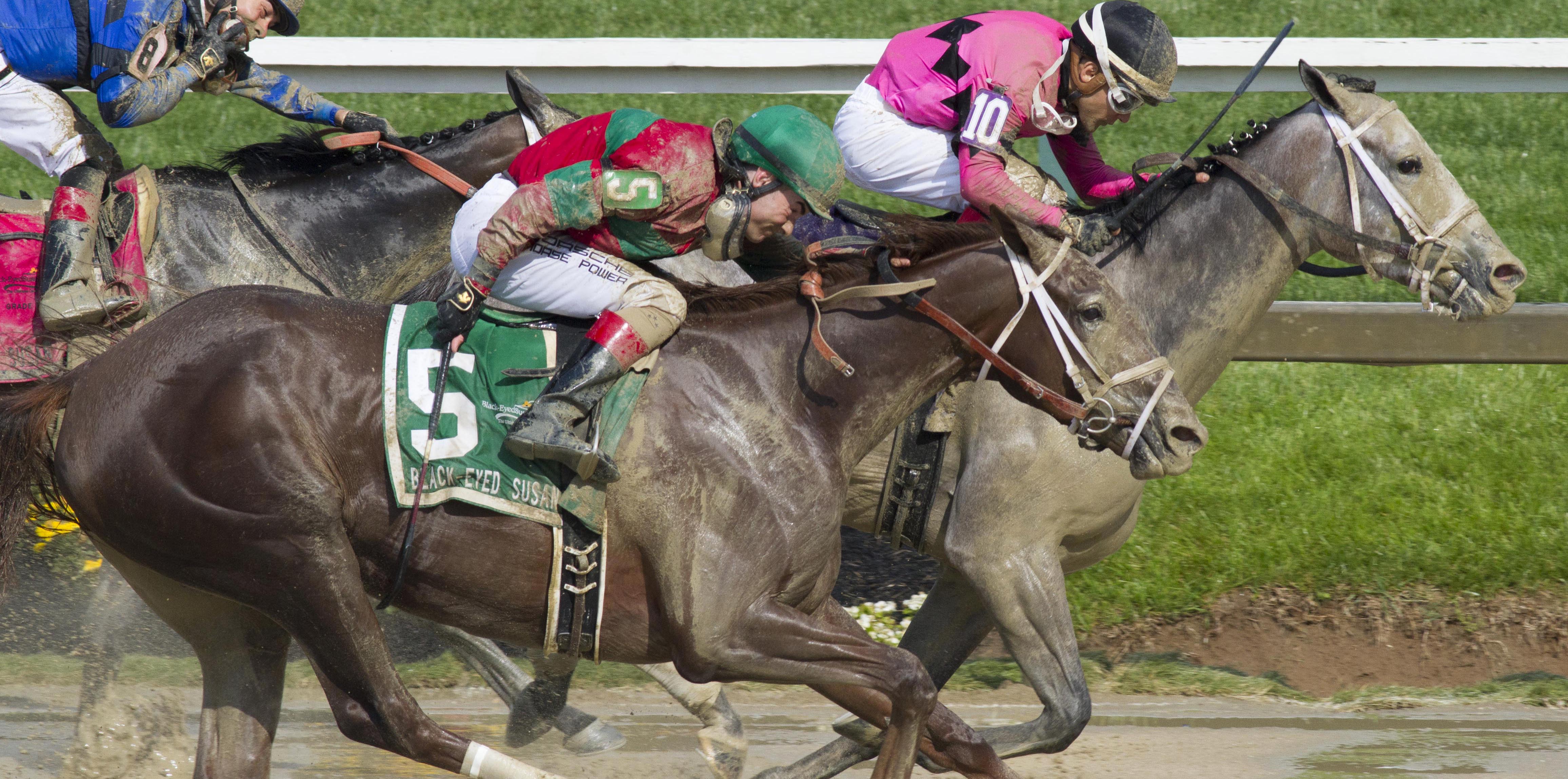 Lights of Medina finishes second in the Black-Eyed Susan