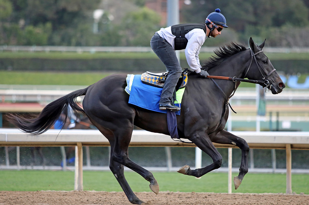Adare Manor trains at Santa Anita Park on Jan. 15
