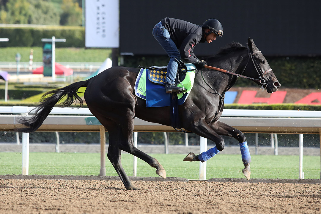 Adare Manor trains at Santa Anita Park on March 5
