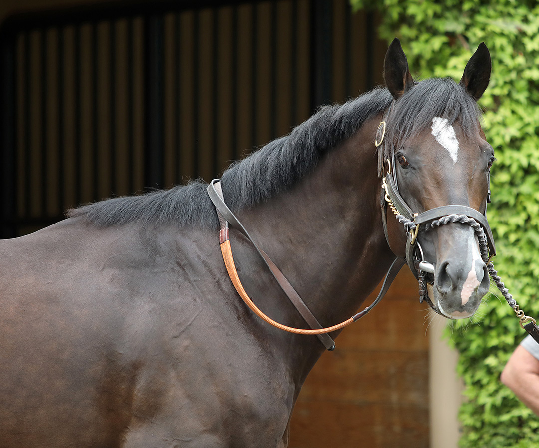 Adare at Del Mar in August 2021