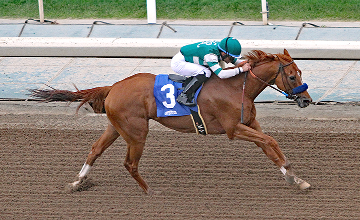 Adens Dream wins a May 27 allowance at Santa Anita
